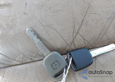 2007 Honda Odyssey Exl z USA, uszkodzony, nr VIN 5FNRL38707B072796